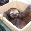 slothsaturday avatar