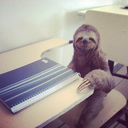 slothtanic-blog-blog avatar