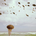 slowblueocean avatar