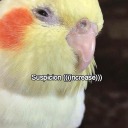 slowly-losing-my-sanity avatar