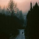 slowly-we-dwell avatar