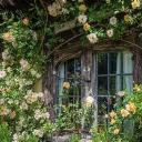 slowlyconsumedbymoss avatar