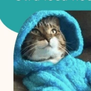 slowlyqualityhologram avatar