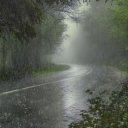 slowlyspookyluminary avatar