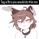 slowlyzanymilkshake avatar