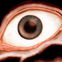 slowsongofswordsandeyes avatar