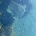 slugs4snitches avatar