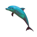 slumber-flowers avatar