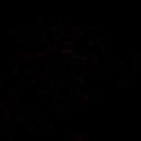 slurpeesnatcher avatar