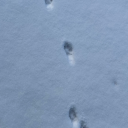 slutboyology101 avatar