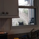 slutforpatroclus avatar