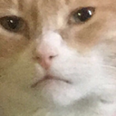 slutsandsarcasm avatar