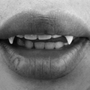 slutsandsharks-blog avatar