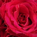 sluttystoriesforsluttygirls avatar