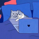 slvr-aesthetic avatar