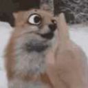 sly1257 avatar