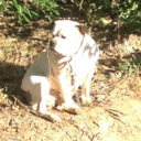 slyfish-blog1 avatar