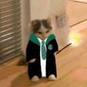 slytherfrost avatar