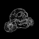 slytherin-house-aesthetic avatar