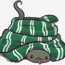 slytherinisbesthouse avatar