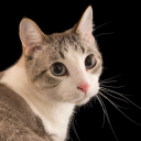 slytherinlikiz avatar