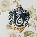 slytherinssource avatar