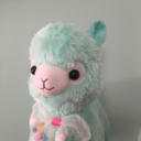 slytherinwithabluealpaca avatar