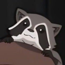 sm0l-raccoon avatar