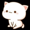 small-kitten avatar