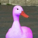 small-purple-duck avatar