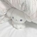 small-rabbit-fish-garden avatar