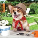 smallandsoft-garden avatar