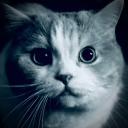 smallbluekitten avatar