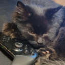 smallcat-artblog avatar