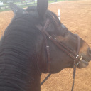 smalldogpropaganda avatar