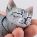 smallglasscat avatar