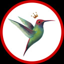 smallgodseries avatar