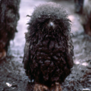 smallpenguin19 avatar