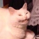 smallpotatotoe avatar