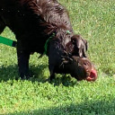 smalltiddyghostgf avatar