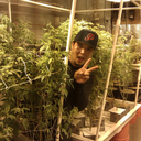 smashing50-blog avatar