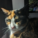 smashingtater avatar