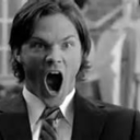 smeds-fandom-obsessions avatar