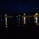 smell-the-r-oses avatar