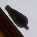 smellmytinydinosaurs avatar