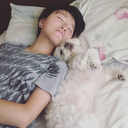 smellslikeawesome avatar