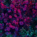 smellslikedarkchaos avatar