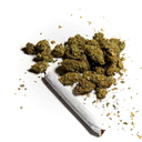 smellthesquishy-blog avatar