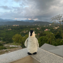 smexydilflover avatar