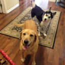 smile-in-my-direction avatar